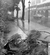 Debris from Fabian, Bermuda’s worst storm in 50 years, lays in the street (Courtesy of the AP)