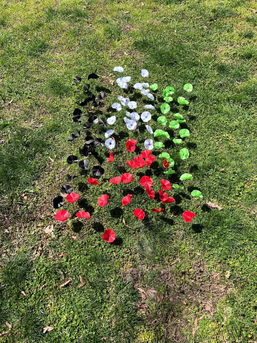 A representation of the Palestinian flag, made of red, green, white and black paper flowers pushed into the ground.